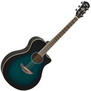 MOECK 4200(B)（旧品番：229）メイプル材 バロック式 ロッテンブルク