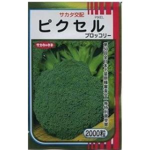 サカタのタネ（サカタノタネ） ブロッコリー ピクセル コート5000粒