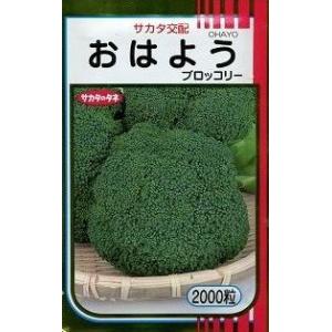 サカタのタネ（サカタノタネ） ブロッコリー おはよう 2000粒 （株