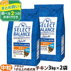 SELECT BALANCE (選べるプレゼント付き)セレクトバランス アダルト