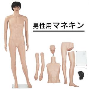 ひざ上トルソー メンズ 高さ115cm 【Y体】 B98×W76×H94cm 男性用