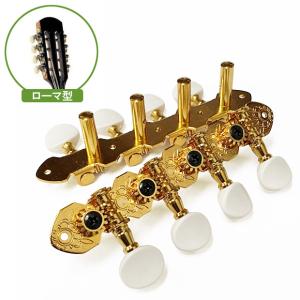 マンドリン ARIA アリア AM-20E 初心者 11点セット ピックアップ搭載