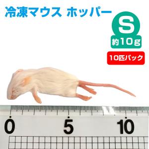 冷凍 エサ 冷凍ピンクマウス Sサイズ 約2g 10匹パック T2 クール便発送