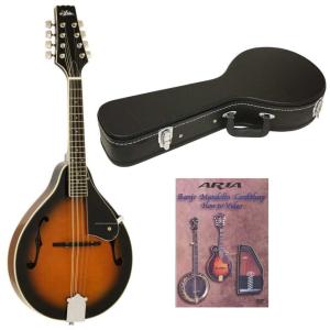 ARIA AM-20E(ハードケース+DVD付) フラットマンドリン/ピックアップを