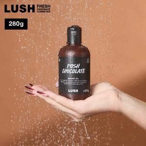 LUSH（ラッシュ） LUSH Dirty スプリングウォッシュ 280g ボディソープ