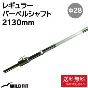 WILD FIT（ワイルドフィット） トレーニングチェーン Φ28mm用 (10kg×2