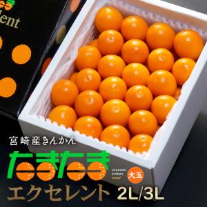 たまたま エクセレント 2L-3L (1kg) 宮崎産 たまたまEX 金柑 きんかん