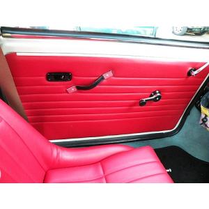 ローバーミニ/クラシックミニ FRPドアパネル : MINI DELTA CLASSIC