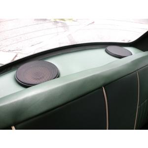 ローバーミニ フューエルトラップ 1.3i インジェクション車用 NPC10001