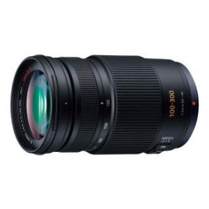 LUMIX 10年間保証付き パナソニック G VARIO 100-300mm F4.0-5.6II