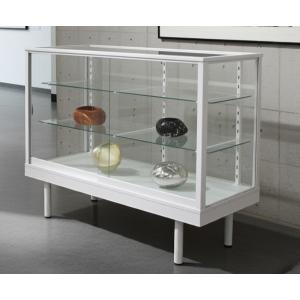 業務用ガラスケース ショーケース 幅60cm/高さ53.9cm コレクション
