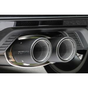 AMTECS アムテックス SPC 67476 キャンバー調整式リアアッパーアーム