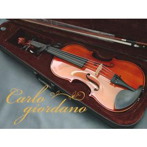 カルロジョルダーノ ビオラセット VL-2 15.5