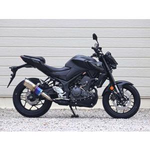 PRUNUS（プラナス） スリップオンマフラー YZF-R25 YZF-R3 MT-25 MT-03