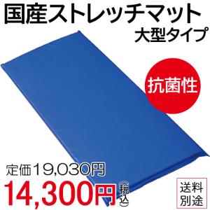 WILD FIT（ワイルドフィット） 抗菌性 国産ジョイントマット 1枚 EVA