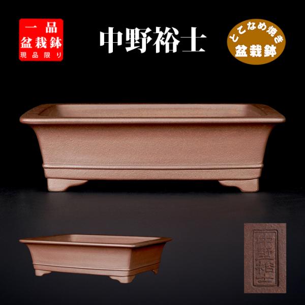 盆栽鉢 裕士外縁下紐長方鉢 植木鉢 常滑 中野裕士 泥鉢 焼締 紫泥 12号