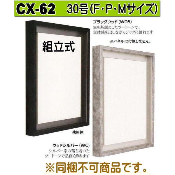 美品 F20号 銀色 仮縁 油彩額縁 アルフレーム CD-44 組み立て式 2個 美