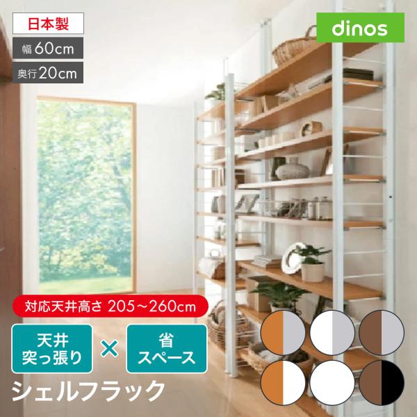 dinos-kagu_1316900255