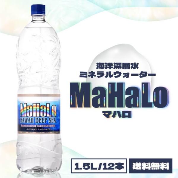 高陽社 マハロ 水 海洋深層水 100％ ミネラルウォーター 1500ml x 12本