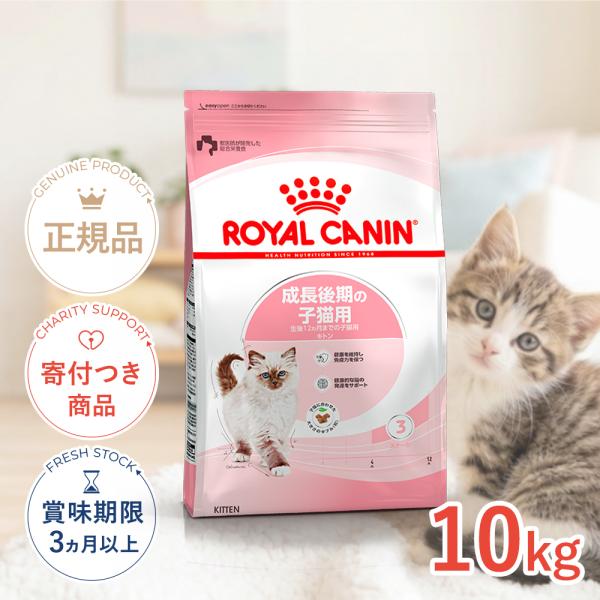 ロイヤルカナン（ROYAL CANIN） キトン 10kg / 成長後期の子猫用（生後