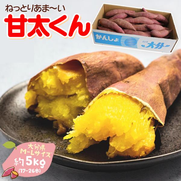 出荷中】さつまいも 自宅用 [甘太くん 大分県産 約5kg (M-Lサイズ 17本