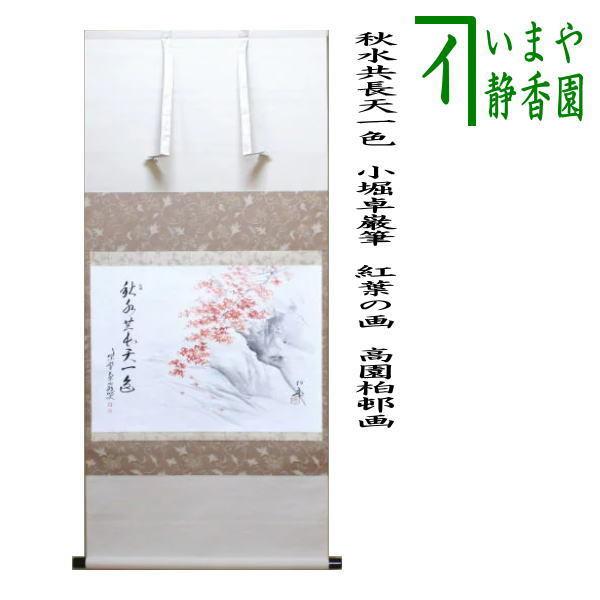 茶道具 掛軸 掛け軸 横軸画賛 秋水共長天一色 小堀卓巌筆 紅葉の画 高