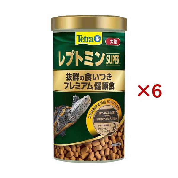 のり Tetra レプトミン スーパー 100g 6個 テトラレプトミンスーパー中
