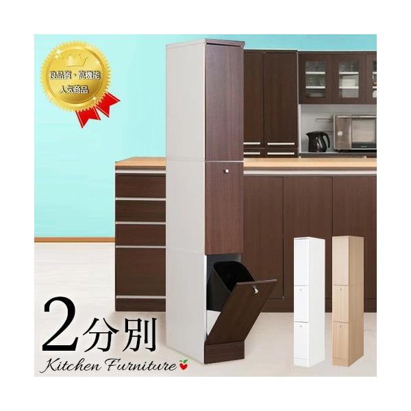 ゴミ箱 幅25cm 台所 キッチン ごみ箱 すき間 スリム 2分別 おしゃれ