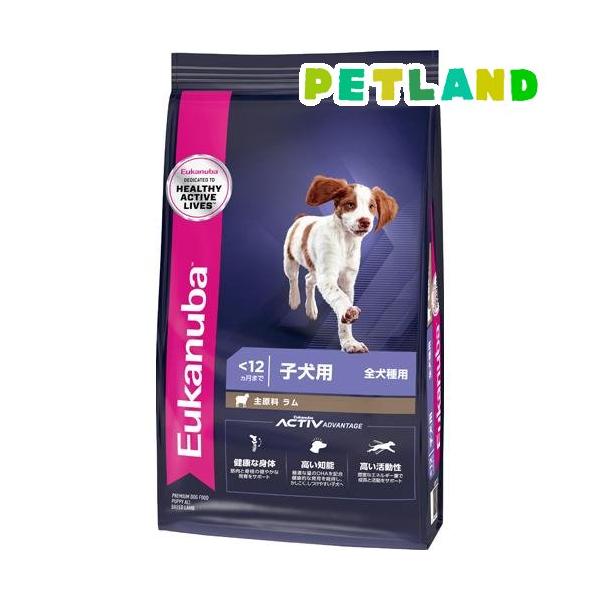 petland_3182550909754