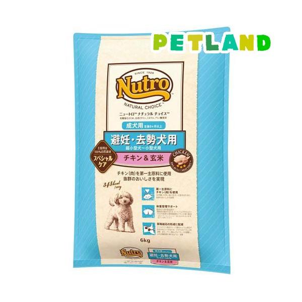 petland_t155109