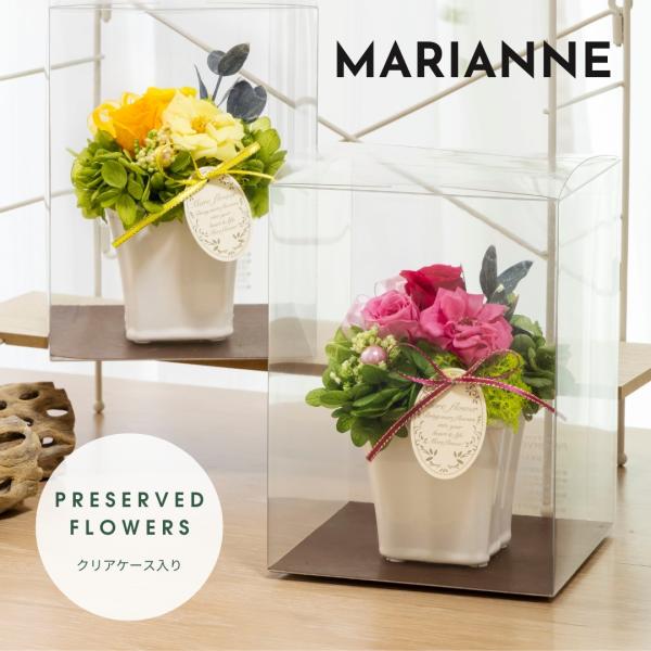 ruplan_pf-marianne