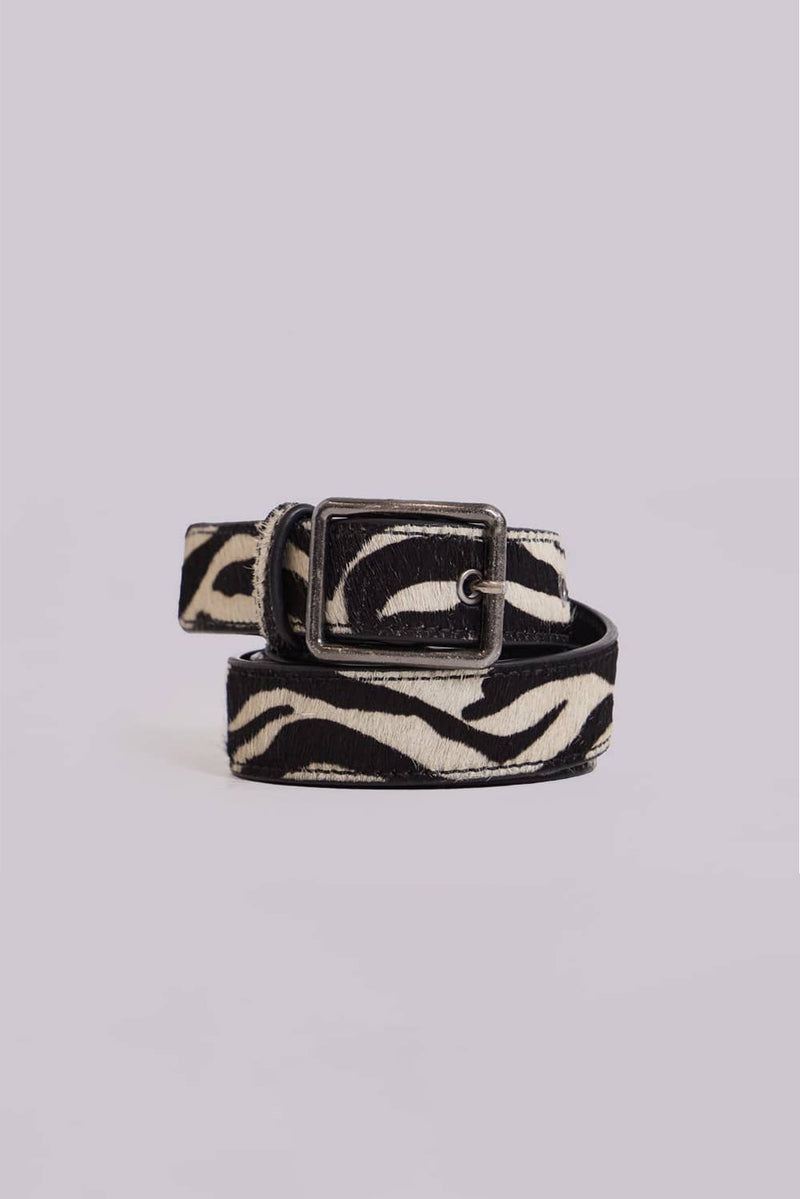 Zebra Belt | Jaded London | Clothing