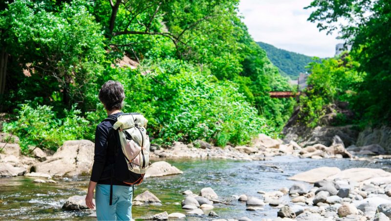 緑あふれる夏 – 定山渓観光協会公式サイト