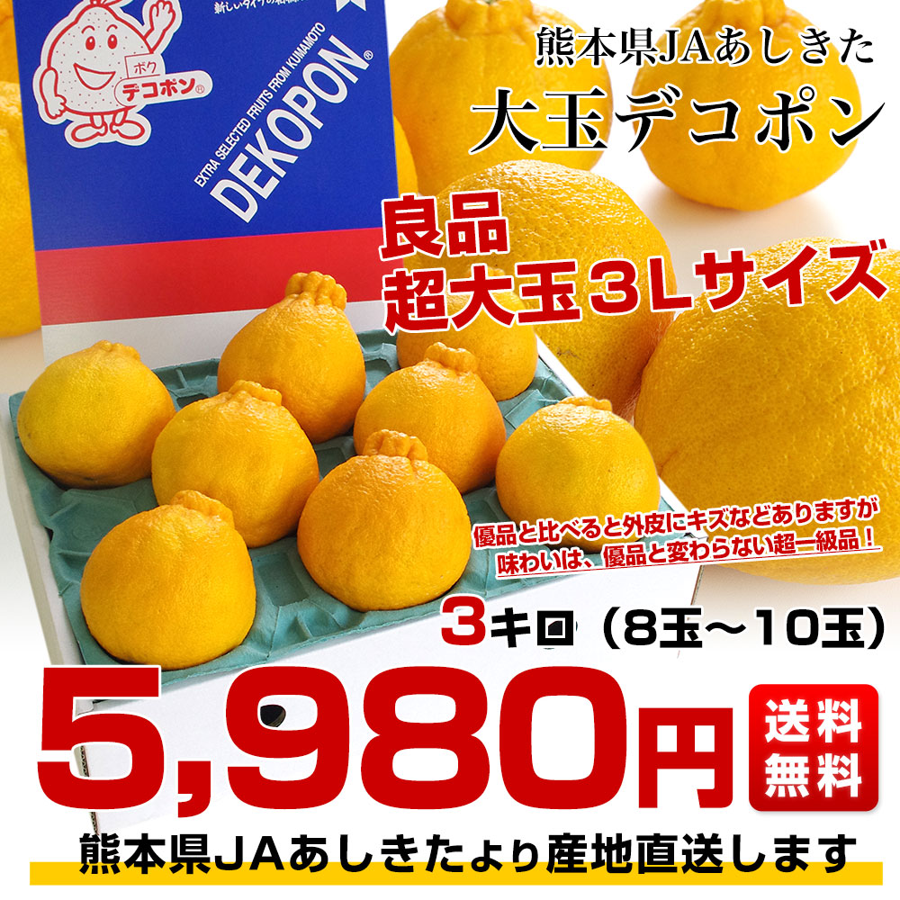 熊本県より産地直送 JAあしきた 大玉デコポン (良品) 3キロ (8玉から10