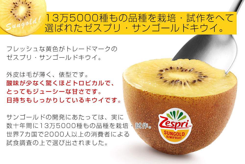 ニュージーランド産 ゼスプリ・サンゴールドキウイ「ジャンボサイズ