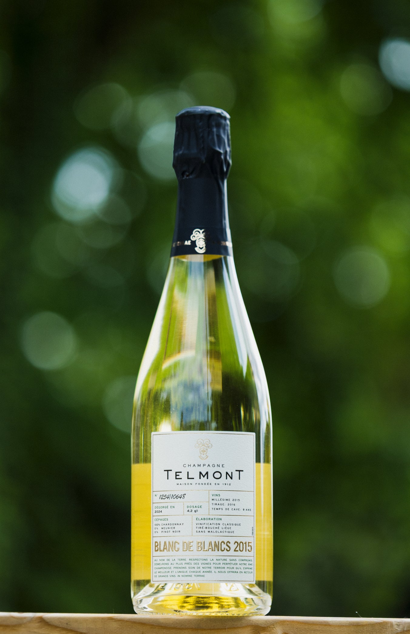ブラン・ド・ブラン ヴィノテーク – Champagne Telmont Japon