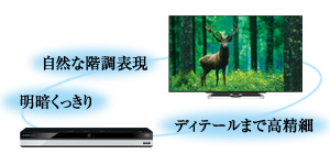 特長 | BD-UT1100 | AQUOSブルーレイ：シャープ