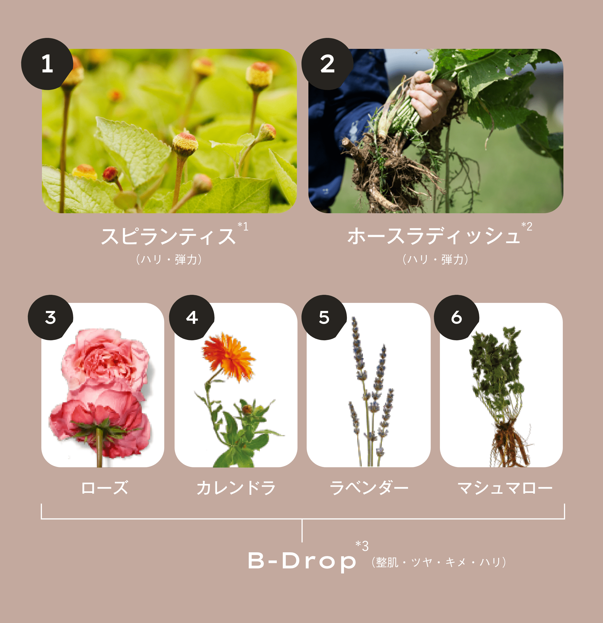 ニュートリディファイン コレクション - Nutri-Define｜Jurlique