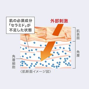 キュレル 潤浸保湿 フェイスクリーム | 花王公式通販 【My Kao Mall】