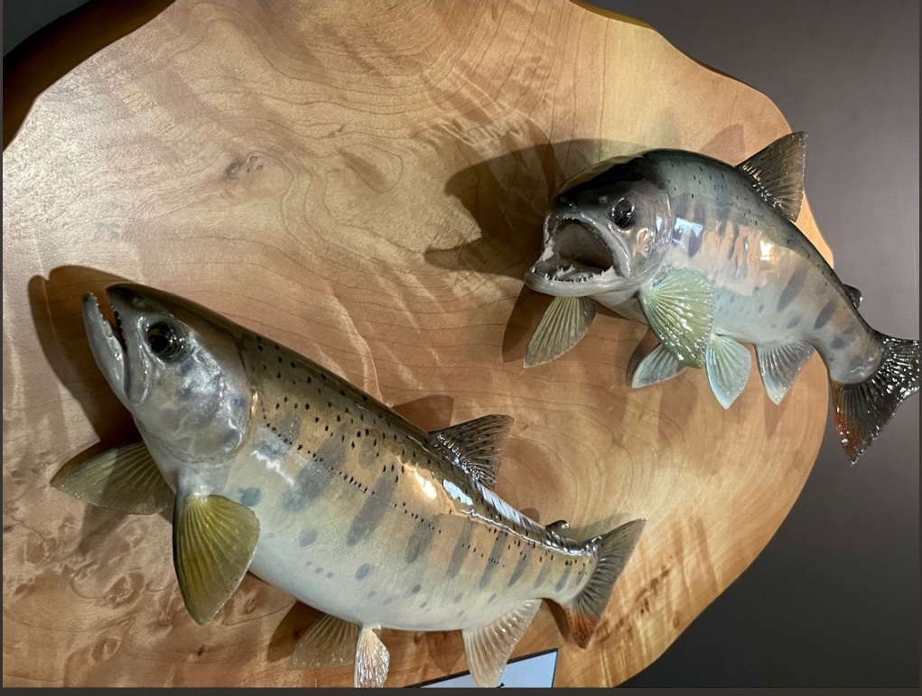 I's wood work's × 魚類剥製工房かげろう 水無月 90S ① I's wood