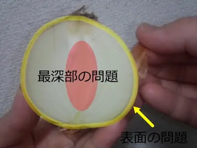 フィシオエナジェティック ( アプライドキネシオロジー カイロ