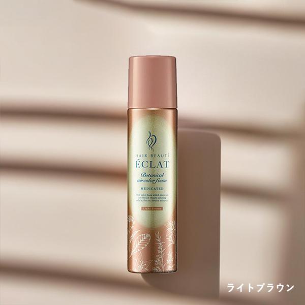 ヘアボーテ エクラ ボタニカルエアカラーフォームEX 2本セット 簡単