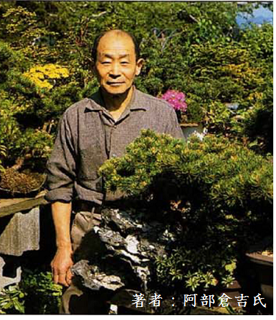 待望の復刻！「五葉松盆栽の作り方」（書籍） | 小林産業株式会社