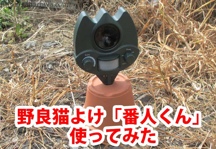 野良猫よけ「番人くん」使用レビュー！糞害を何とかしたい！ - お庭