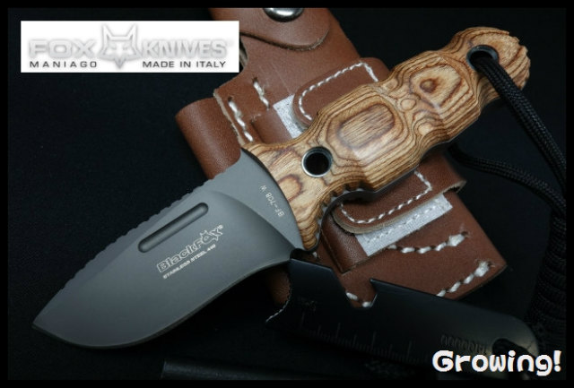 ナイフショップ グローイング！□FOX KNIVES【フォックス・ナイブス