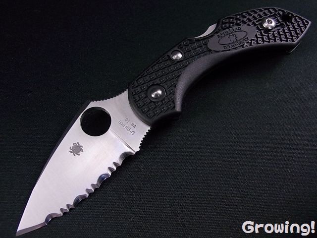 ナイフショップ グローイング！□Spyderco【スパイダルコ】□ ドラゴン