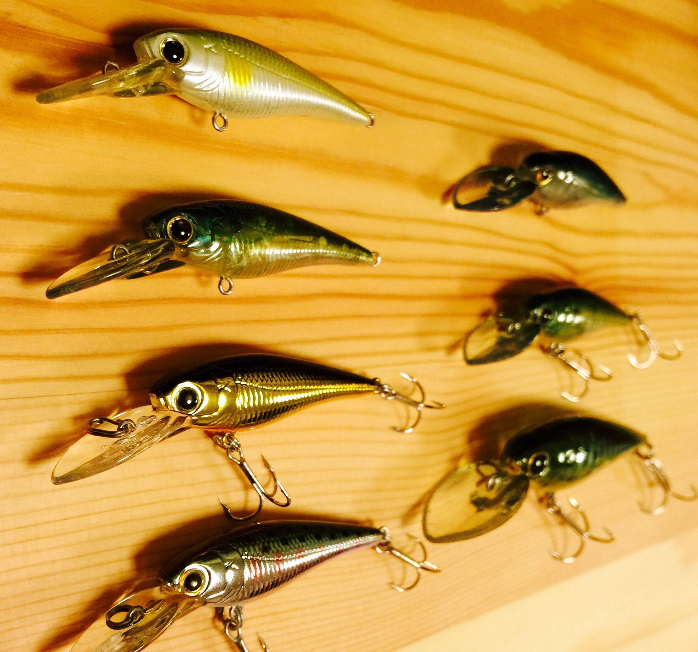 ラッキークラフト／ベビーシャッド – くまのつりぐ