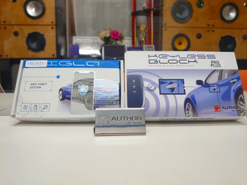 NX350h 20系】IGLA2＋、キーレスブロックPRO+、AUTHORステンレス