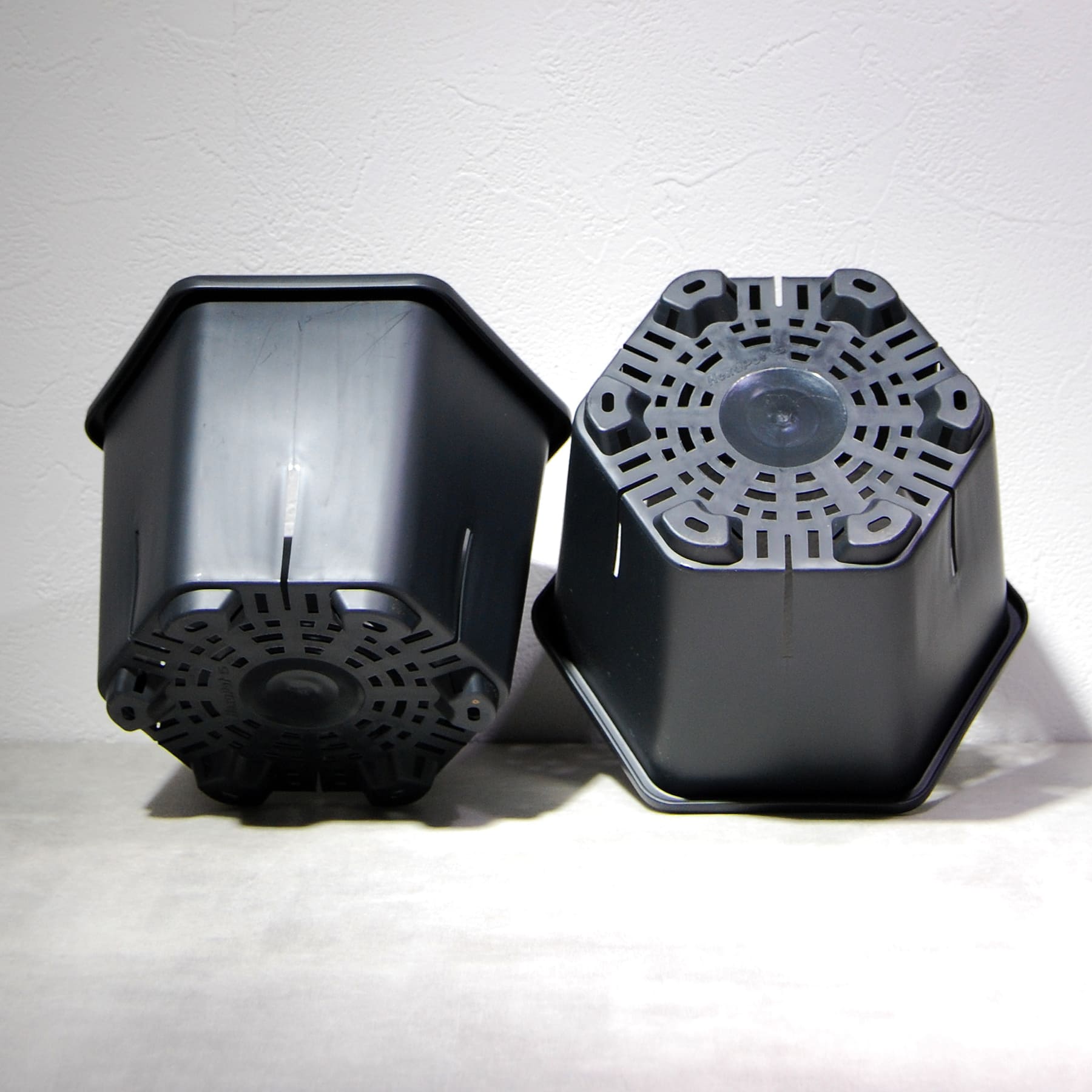 HexaPot（ヘキサポット）六角形プラ鉢 5号相当 – linkplants -リンク