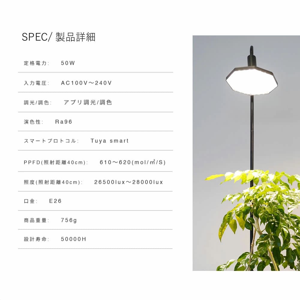 ROKI-Octagon-50W（ロキ オクタゴン 50W） – linkplants -リンクプランツ-